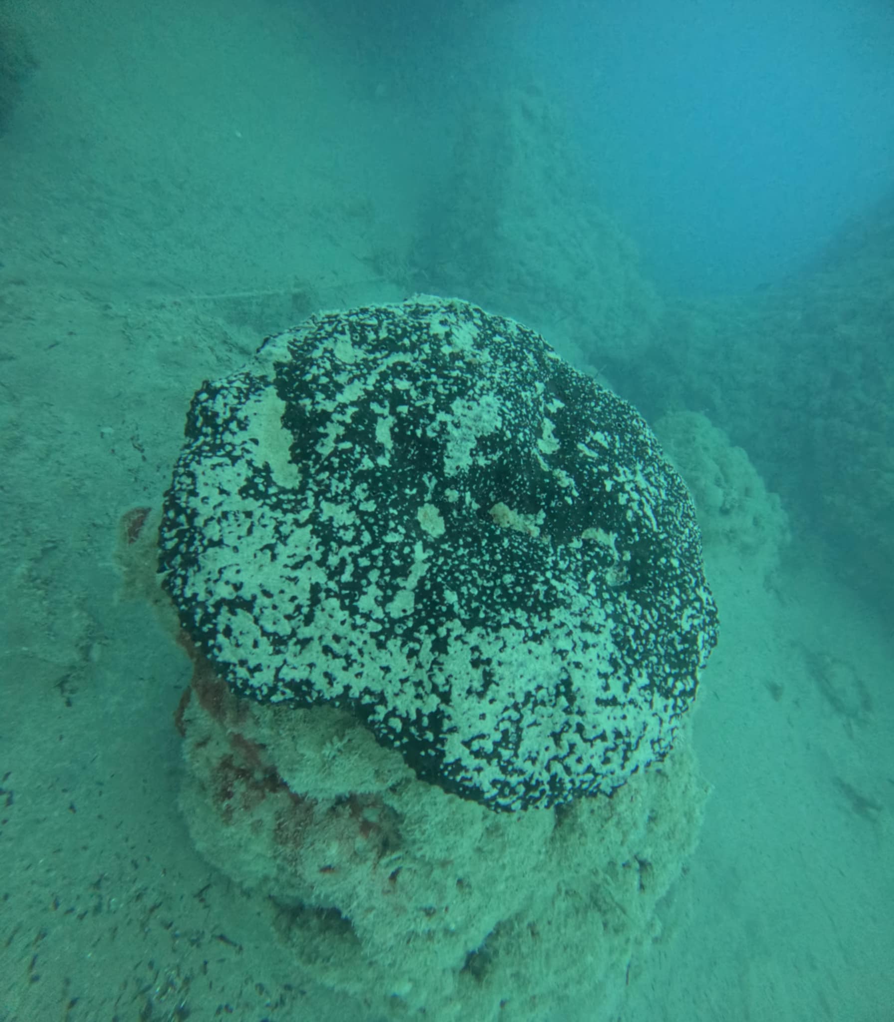 Psaropoula (Rhodes City)